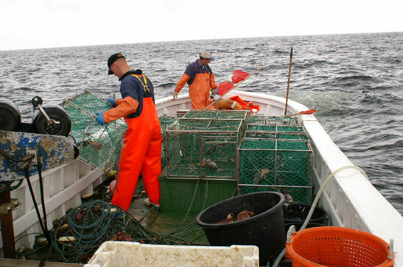  Helgoländer Hummerfischerei