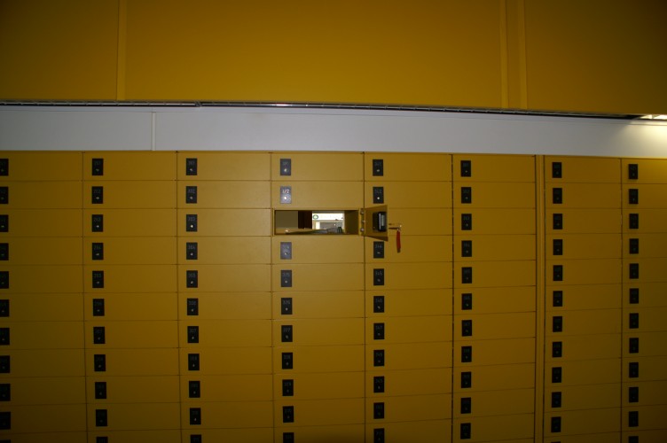 Bild des Tages