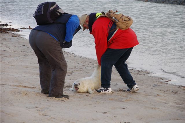 Bild des Tages
