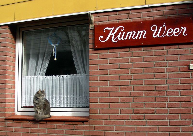 Bild des Tages