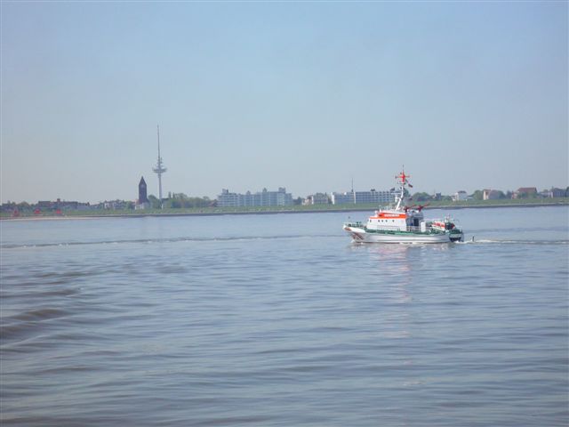 Bild des Tages