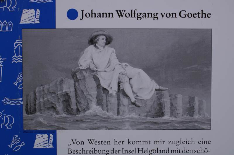 Bild des Tages