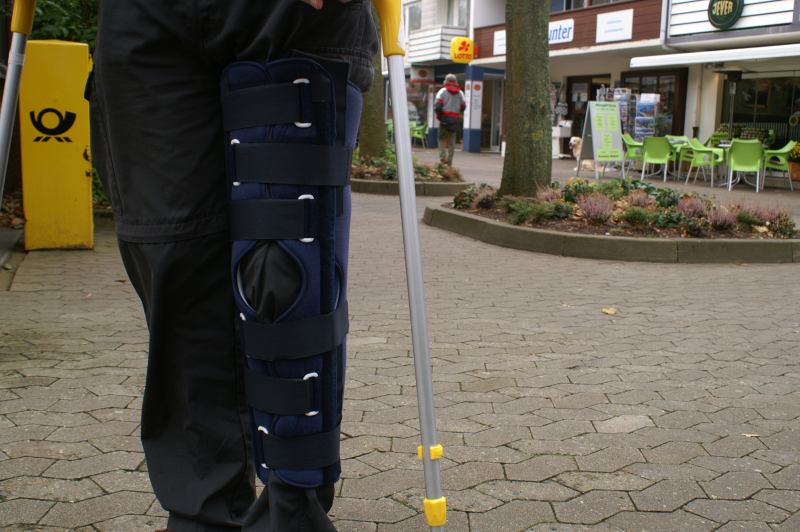 Bild des Tages