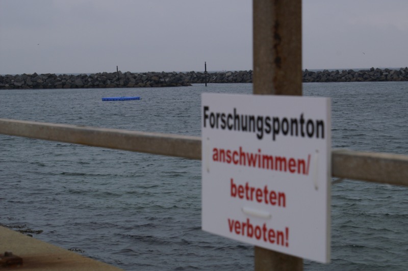 Bild des Tages