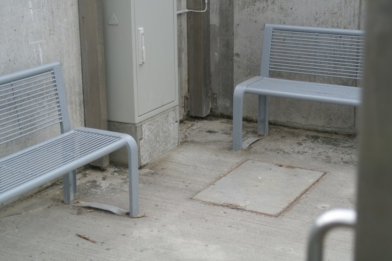 Bild des Tages