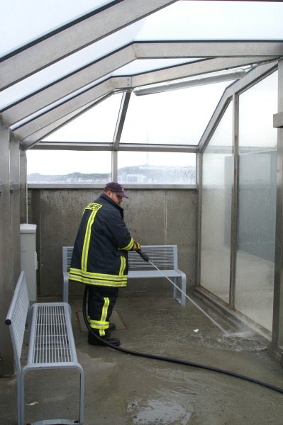 Bild des Tages