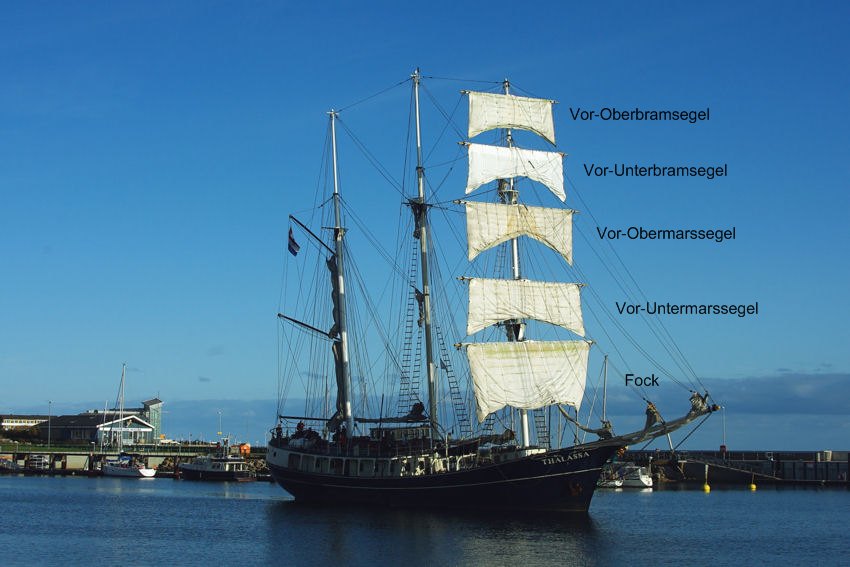 Bild des Tages