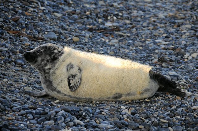 Bild des Tages