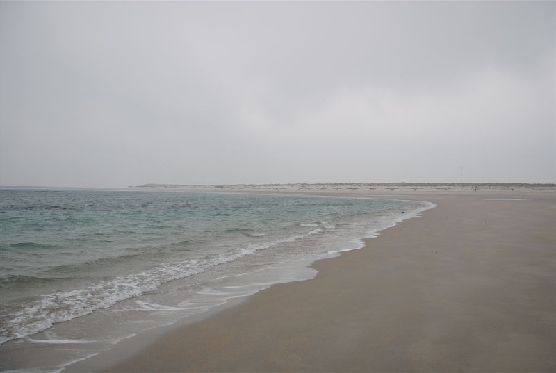 Düne Nordstrand bei Niedrigwasser von der Wasserkante an der Nordwestmole fotografiert