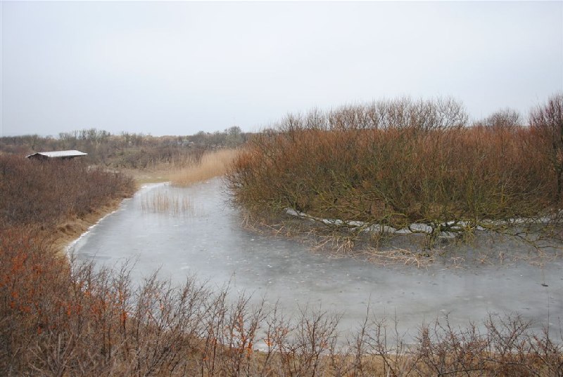 Der zugefrorene Grillteich 