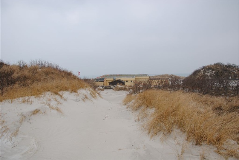 Der von Strandhafer gesäumte Sandweg führt direkt auf die Rückseite des Dünenrestaurants zu