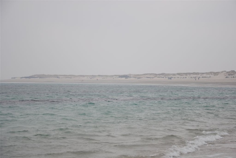 Düne Nordstrand bei Niedrigwasser von der Wasserkante aus und etwas auf Spaziergänger am Strand gezoomed