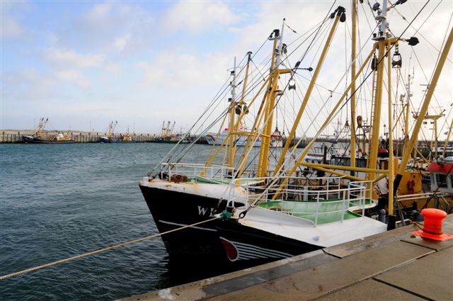 Fischkutter im Helgoländer Südhafen