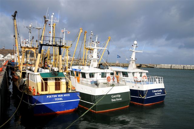 Fischkutter im Helgoländer Südhafen