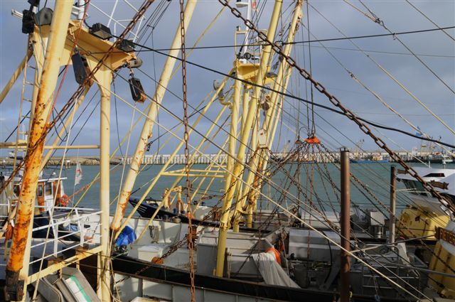 Fischkutter im Helgoländer Südhafen