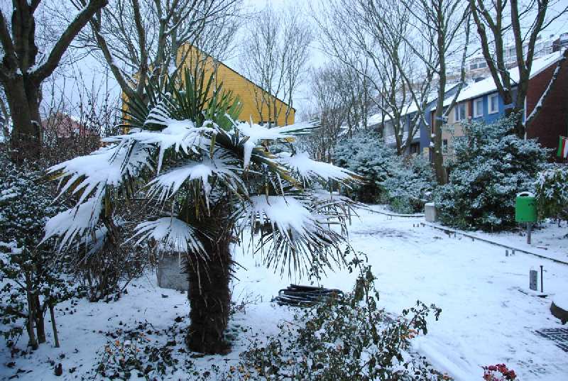 Der Siemensplatz im Helgoländer Unterland ist mit Schnee bedeckt.