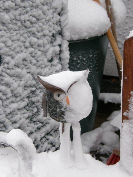 Bilder vom Schnee auf Helgoland am 23. 12.