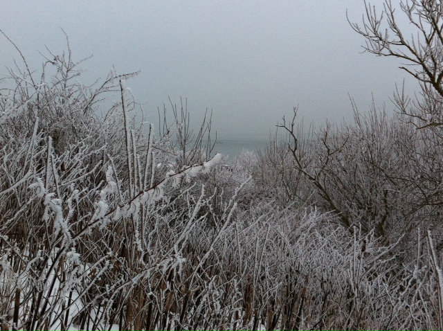 Im Winter auf Helgoland bilden sich bei Nebel und frostiger Luft an jedem Gegenstand lange Eisnadeln.