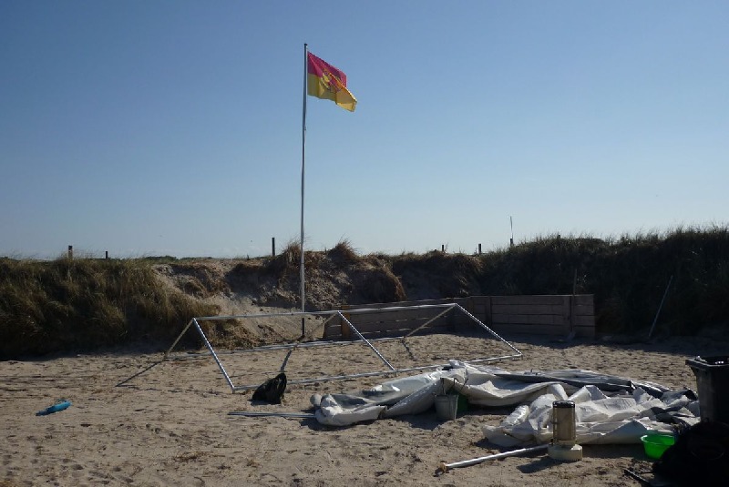 Camper Jesko baut sein Zelt auf dem Campingplatz Helgoland-Düne auf und wird dabei von zwei Stockenten ausgiebig und ziemlich unscheu begutachtet.