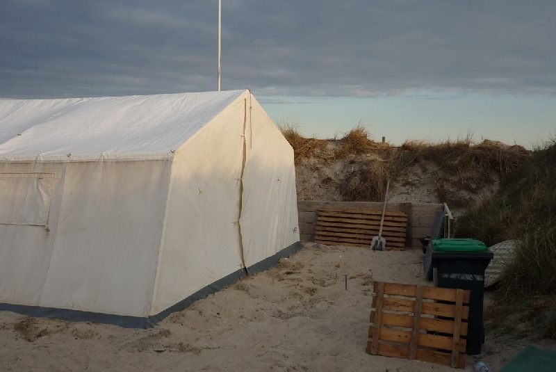 Camper Jesko baut sein Zelt auf dem Campingplatz Helgoland-Düne auf und wird dabei von zwei Stockenten ausgiebig und ziemlich unscheu begutachtet.