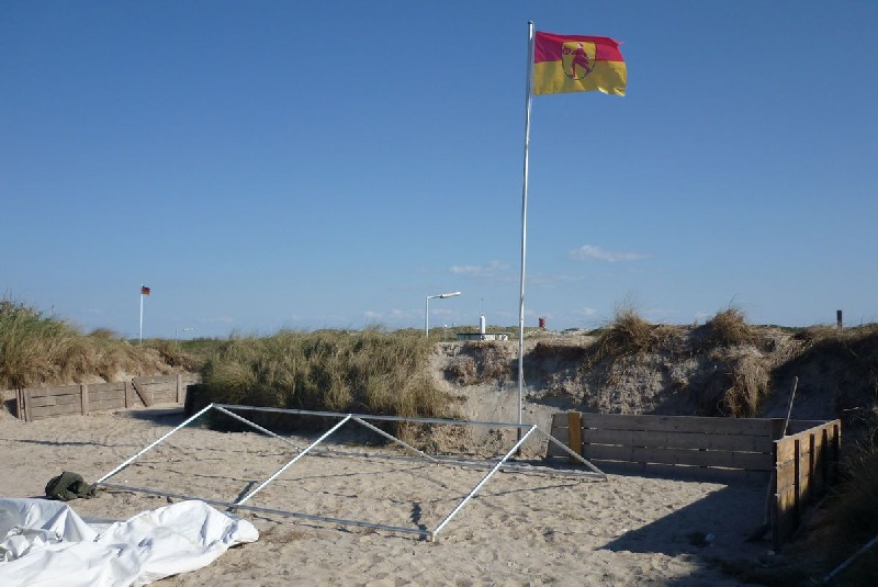 Camper Jesko baut sein Zelt auf dem Campingplatz Helgoland-Düne auf und wird dabei von zwei Stockenten ausgiebig und ziemlich unscheu begutachtet.