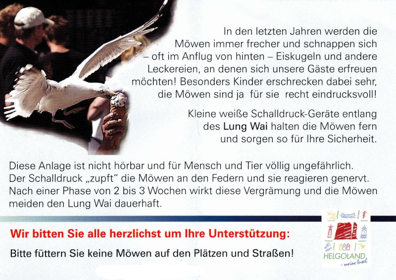 Ein Flyer der Gemeinde Helgoland informiert über die Möwenvergrämungsanlage MarinaGard.