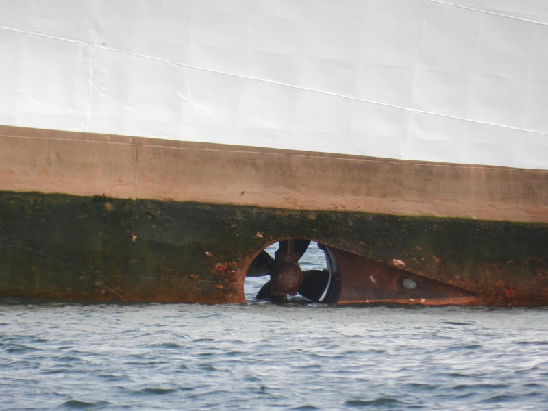 Das Passagierschiff Funny Girl ist am Nordstrand der Düne nach einer Havarie auf Grund gelaufen und liegt bei Niderigwasser deshalb leicht schief im Wasser.