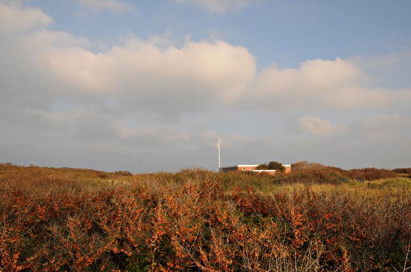 Der Darrieus-Rotor am Wilhelm-Mielck-Haus im Nordostgelände Helgolands