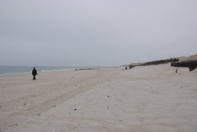 Blick vom Anfang bis zum Ende des Nordstrands der Helgoländer Düne an dem nur eine Person und eine Ansammlung Seehunde zu sehen ist