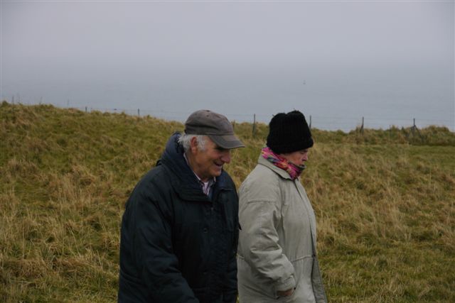Galloway-Rinder und Heidschnucken auf Helgoland.