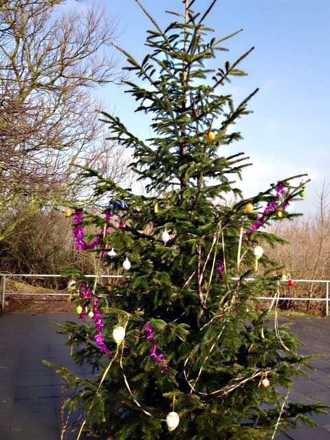 Der Weihnachtsbaum auf dem Europa-Absatz der Haupttreppe Helgolands ist Anfang April mit Ostereiern geschmückt.