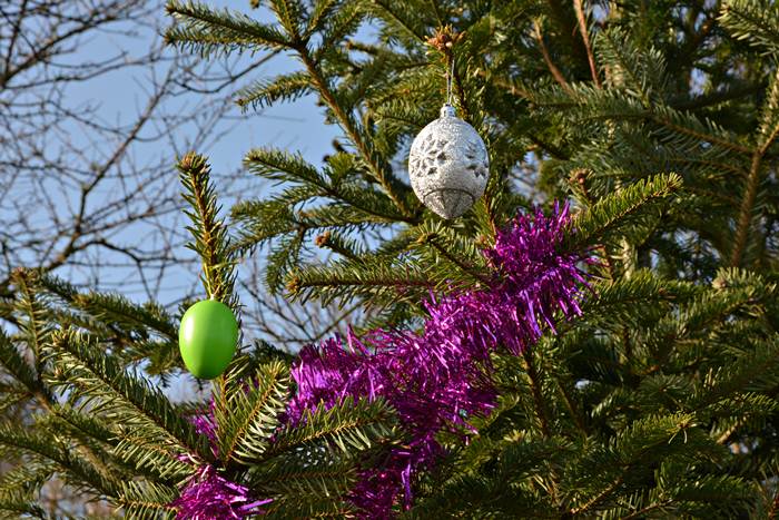 Der Weihnachtsbaum auf dem Europa-Absatz der Haupttreppe Helgolands ist Anfang April mit Ostereiern geschmückt.