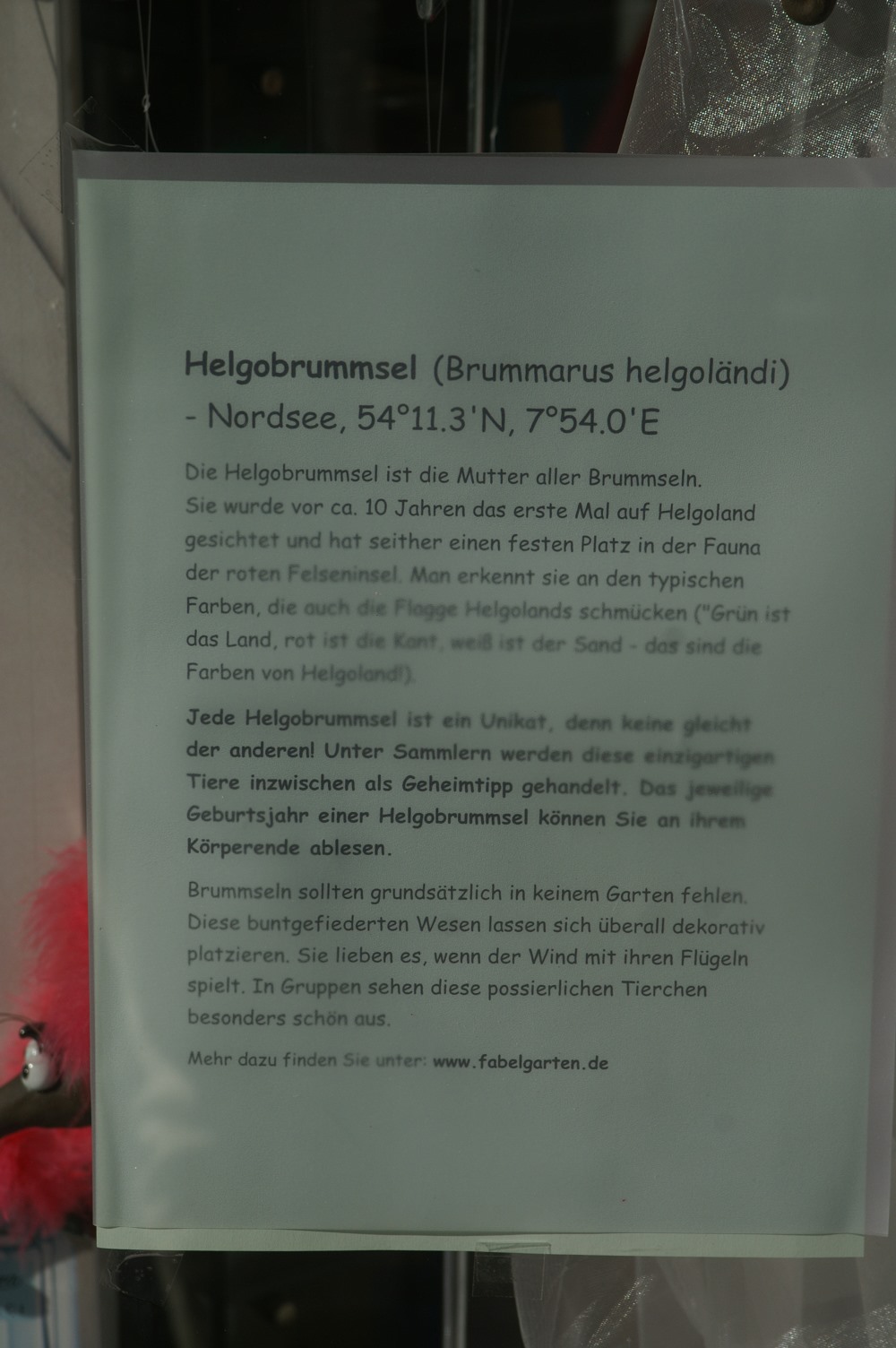 Souvenir "Helgobrummsel" im Schaufenster von Danys Duty Free Shops"