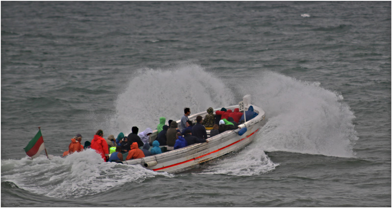 Bilder der Börtebootregatta.