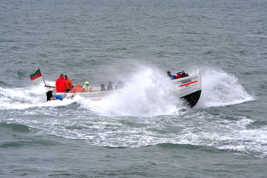 Bilder der Börtebootregatta.
