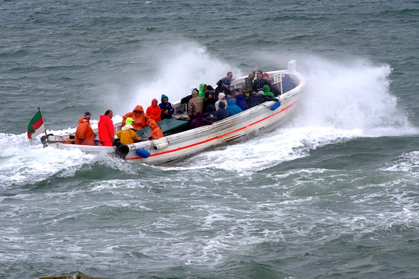 Bilder der Börtebootregatta.
