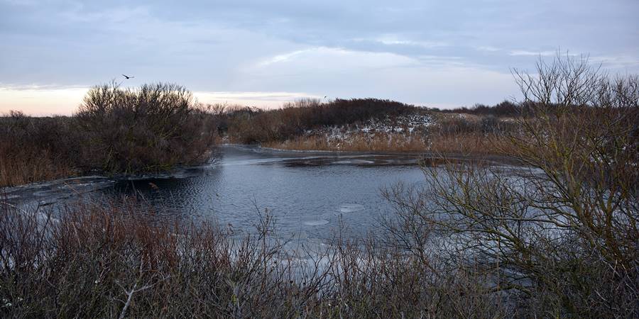 der halb-gefrorene Golfteich auf der Düne.