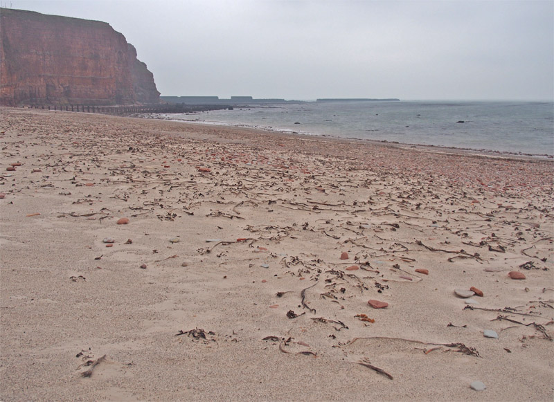Am Nordstrand Helgolands bei starkem Niedrigwasser.