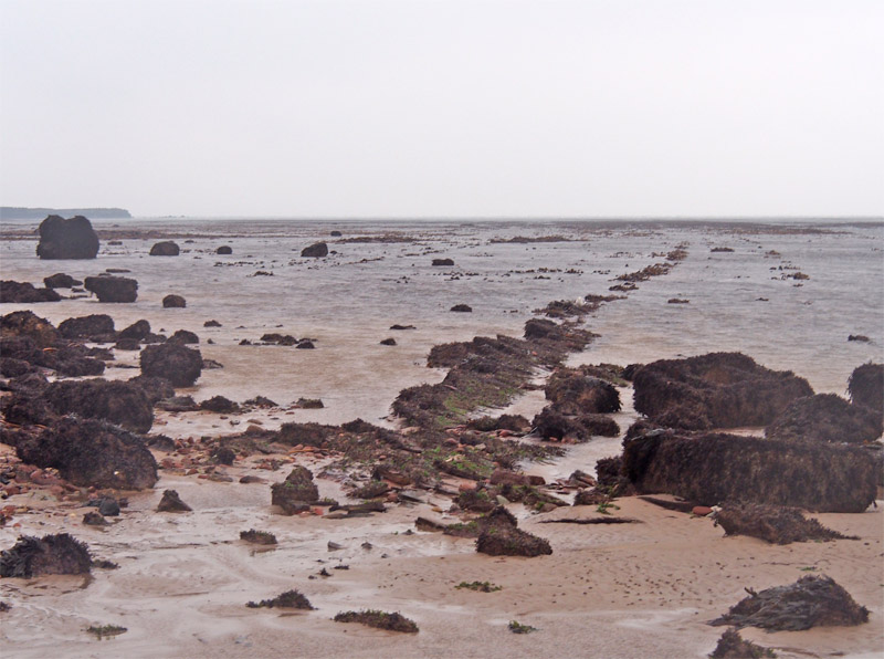 Am Nordstrand Helgolands bei starkem Niedrigwasser.