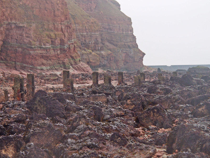Am Nordstrand Helgolands bei starkem Niedrigwasser.