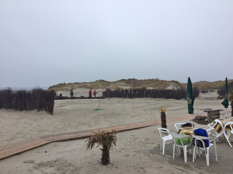 Helfer der Aktion Helfende Hände am Südstrand auf der Düne.