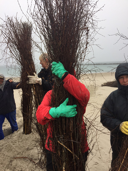 Helfer der Aktion Helfende Hände am Südstrand auf der Düne.