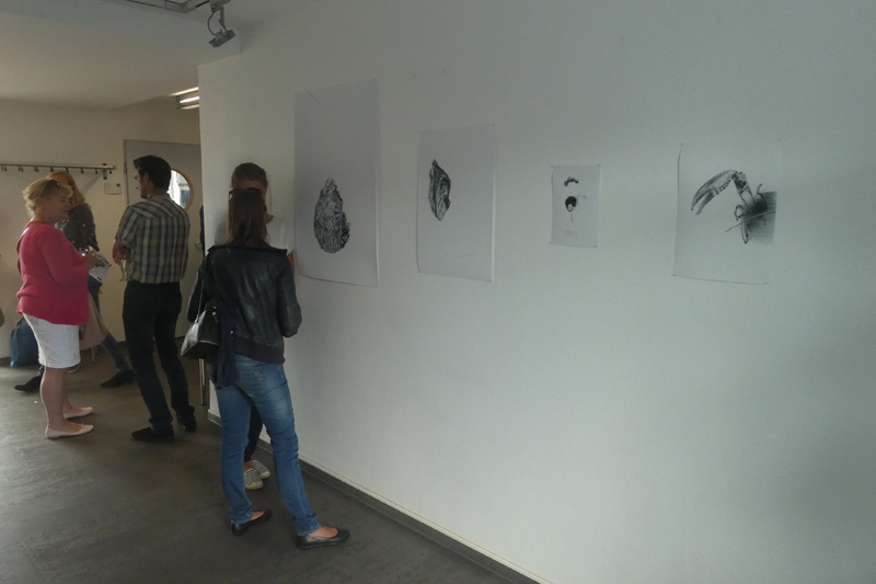 Eröffnungsveranstaltung zm Kunstprojekt Geschätzte Meerestiere des AWI auf Helgoland.
