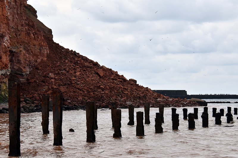 Bilder vom Felssturz an der Nordseite Helgolands.