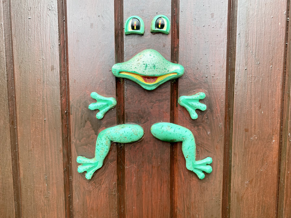Das sonntägliche Rätselbild.