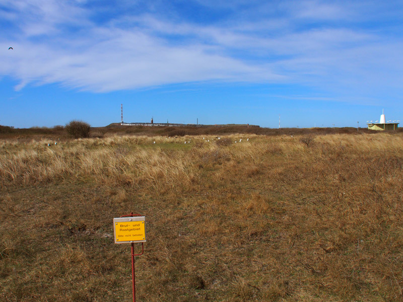 Blick von der Düne neben Jonny's Hill Richtung Helgoland.