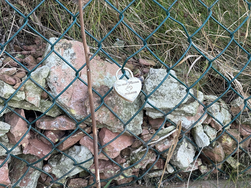 Das sonntägliche Rätselbild.