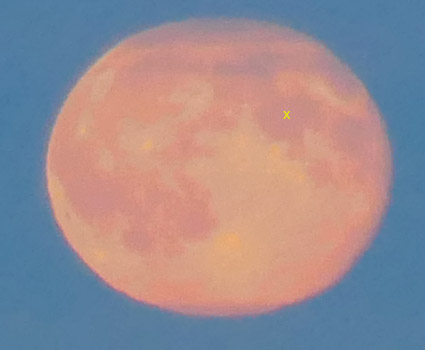 Luna - Großaufnahme auf der die Mare zu erkennen sind.