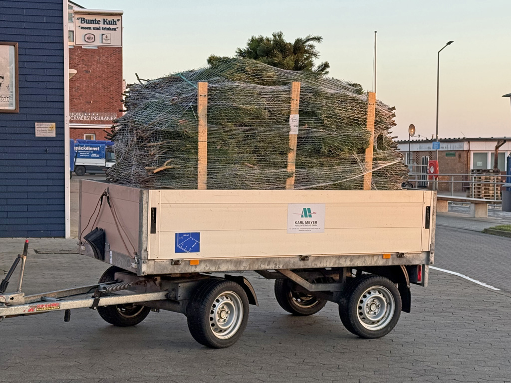 Tannengrün auf einem E-Karren-Anhänger an der Einfahrt zum Autoberg im Unterland.