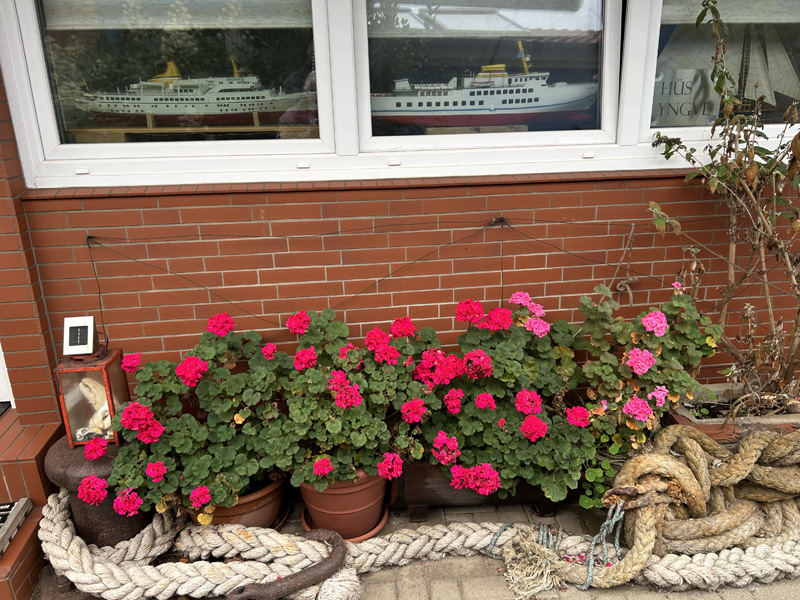 Das sonntägliche Rätselbild.